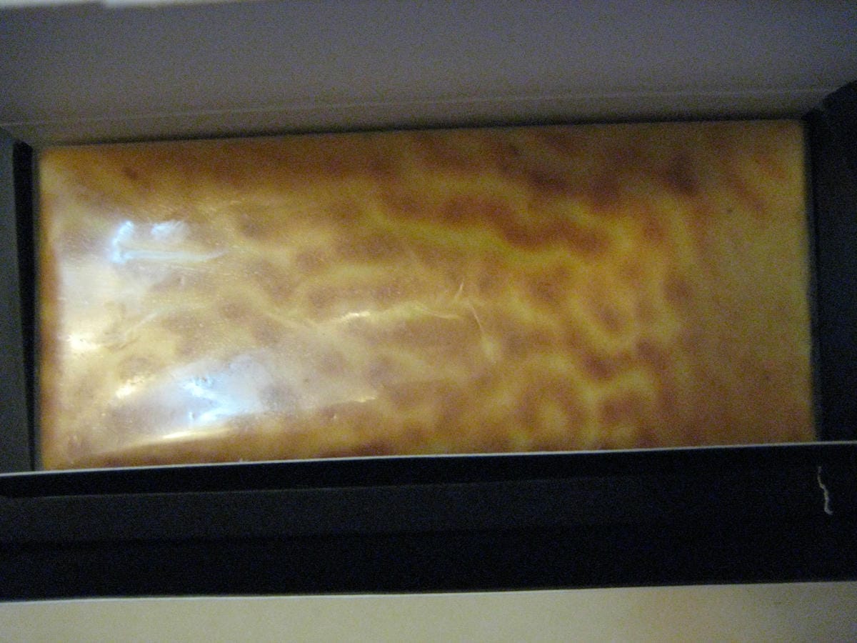 IMG_5517.JPG