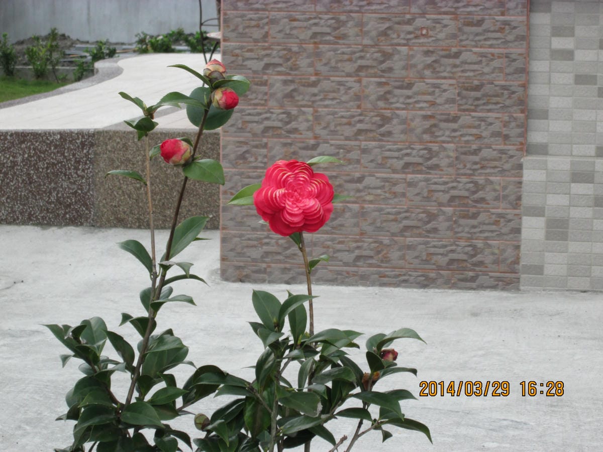 F0000488