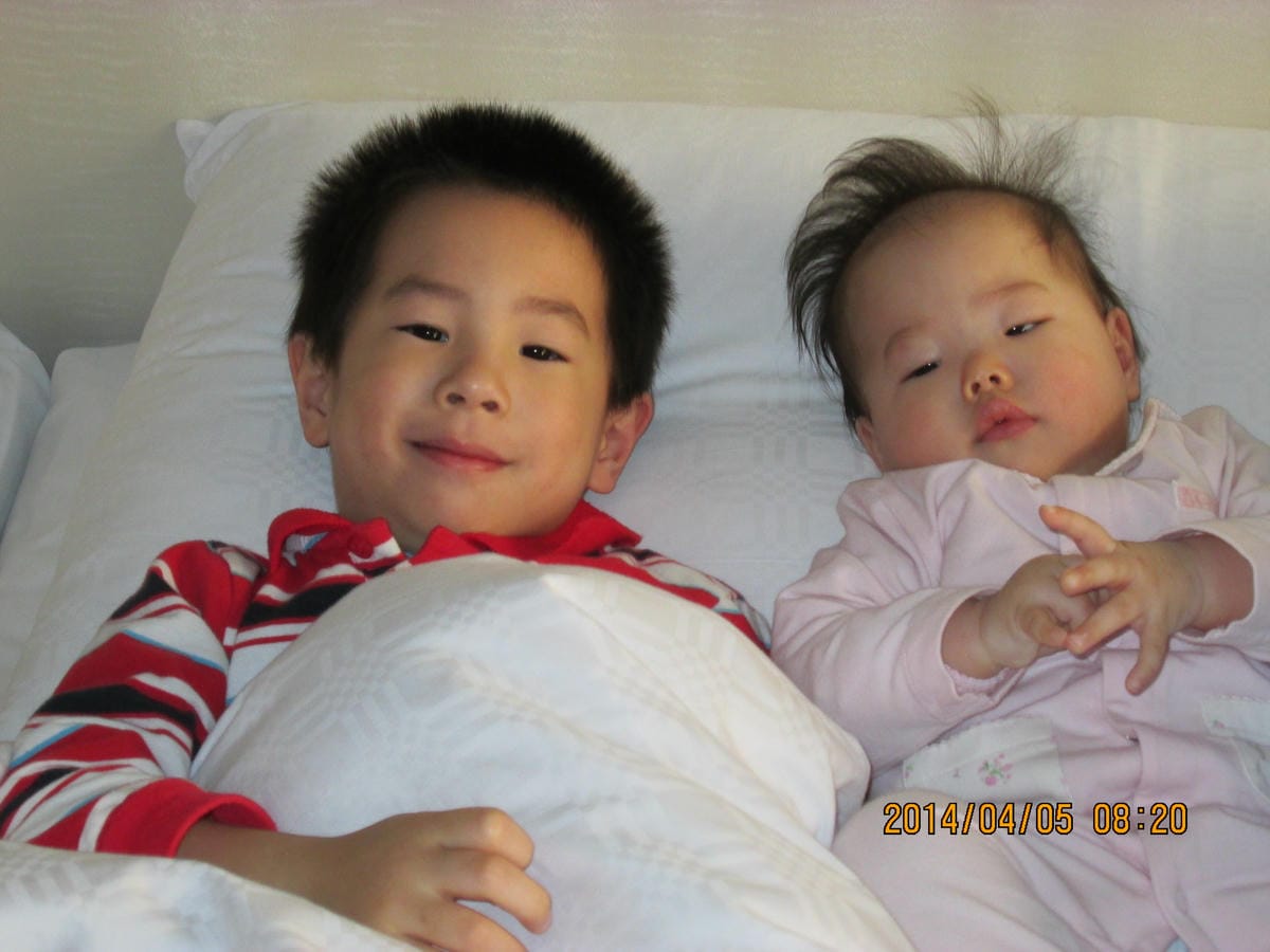 IMG_0951 IMG_0951