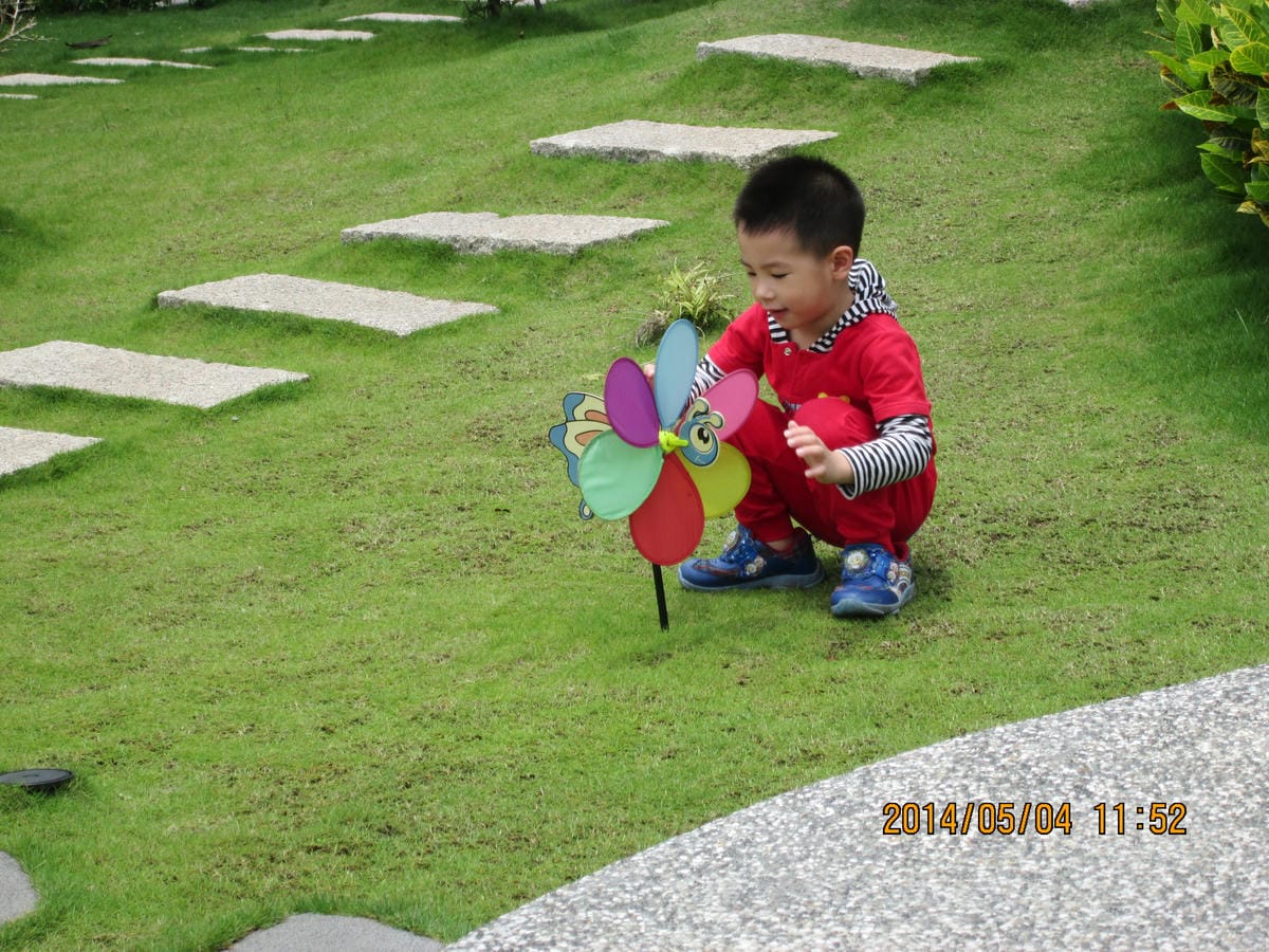 IMG_1778 IMG_1778