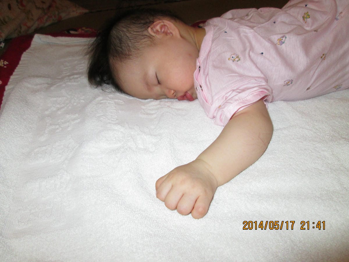 IMG_2376 IMG_2376
