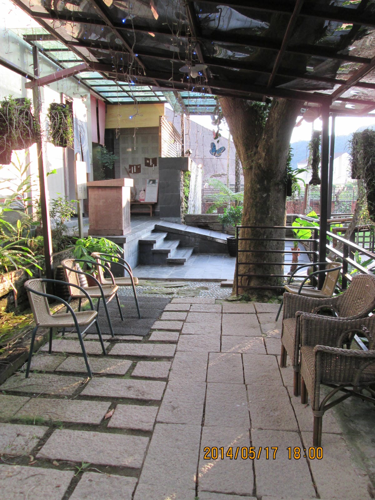IMG_2174 IMG_2174