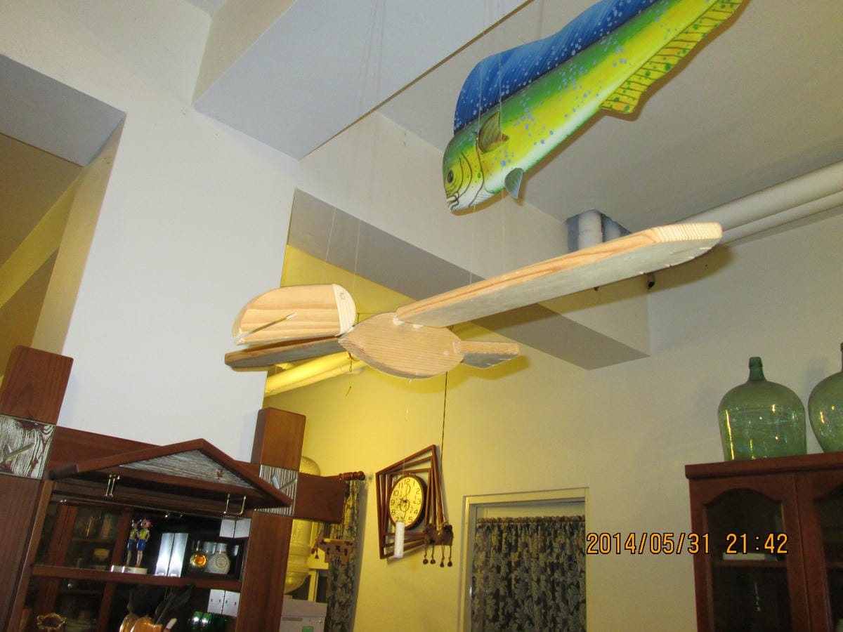 IMG_2894 IMG_2894