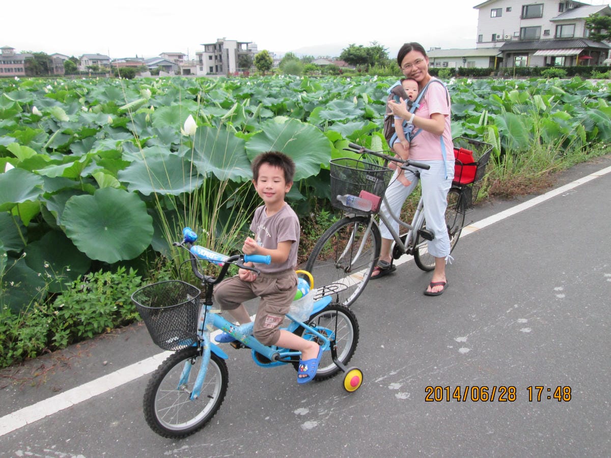 IMG_5181 IMG_5181
