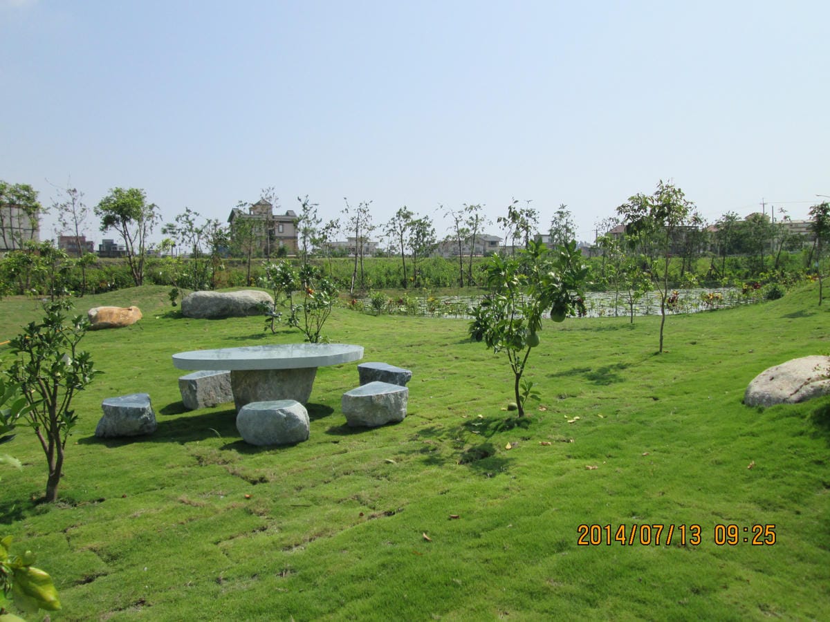 IMG_6420 IMG_6420