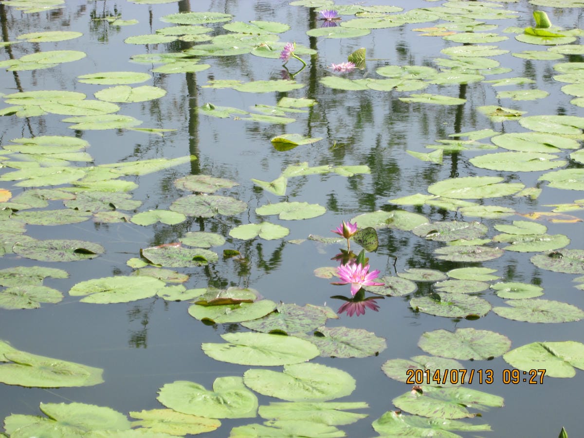 IMG_6426 IMG_6426