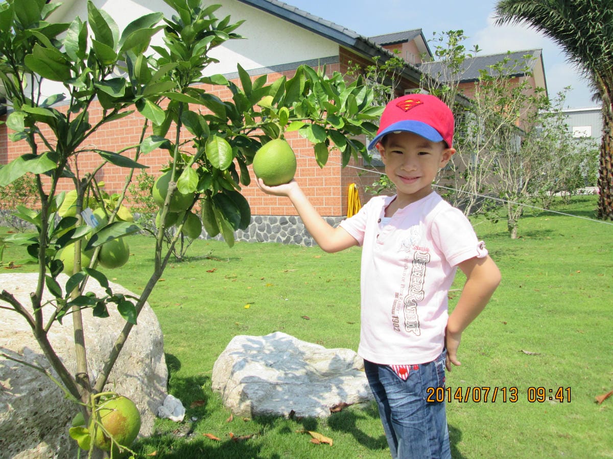 IMG_6436 IMG_6436
