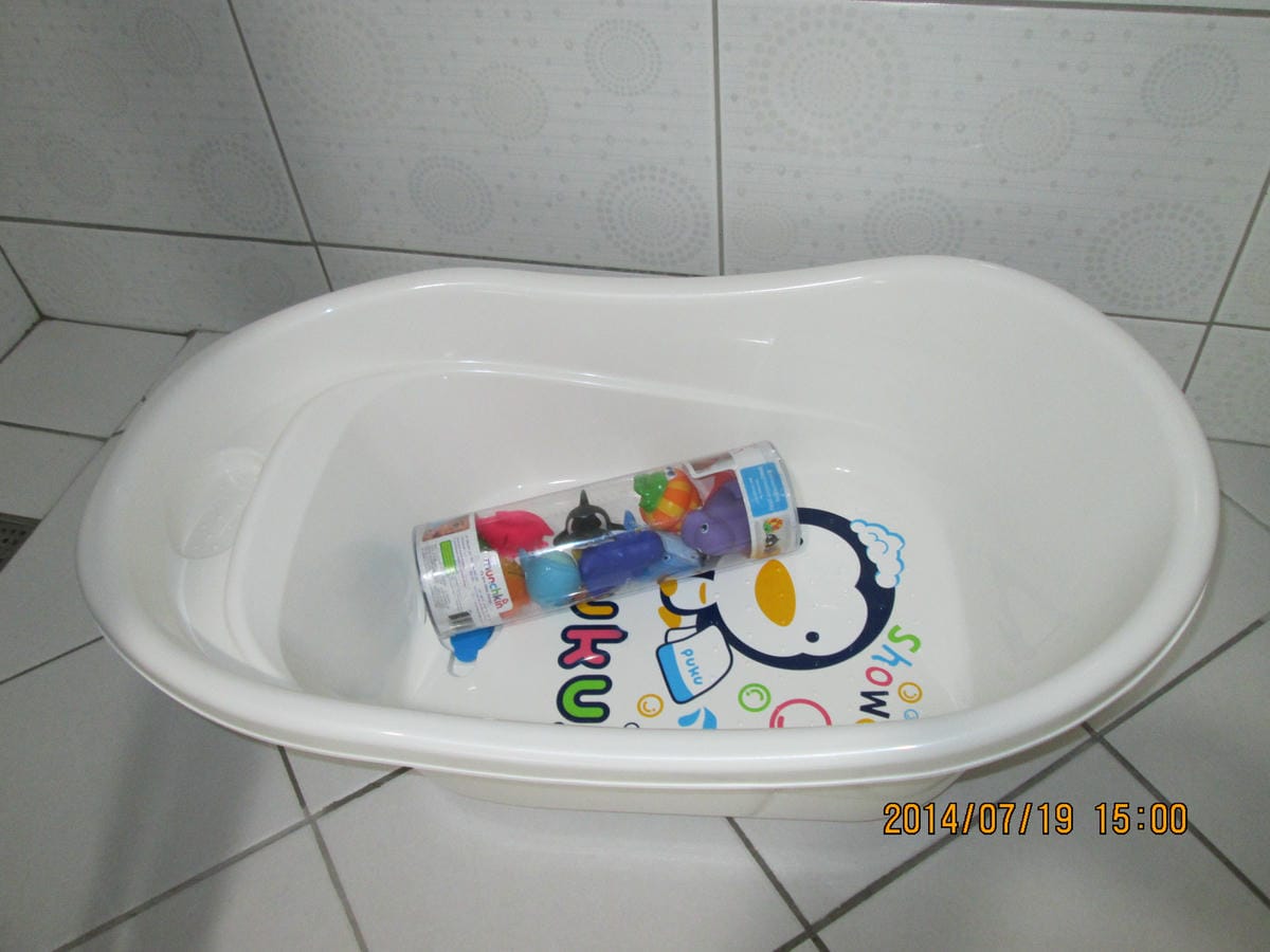 IMG_6731 IMG_6731