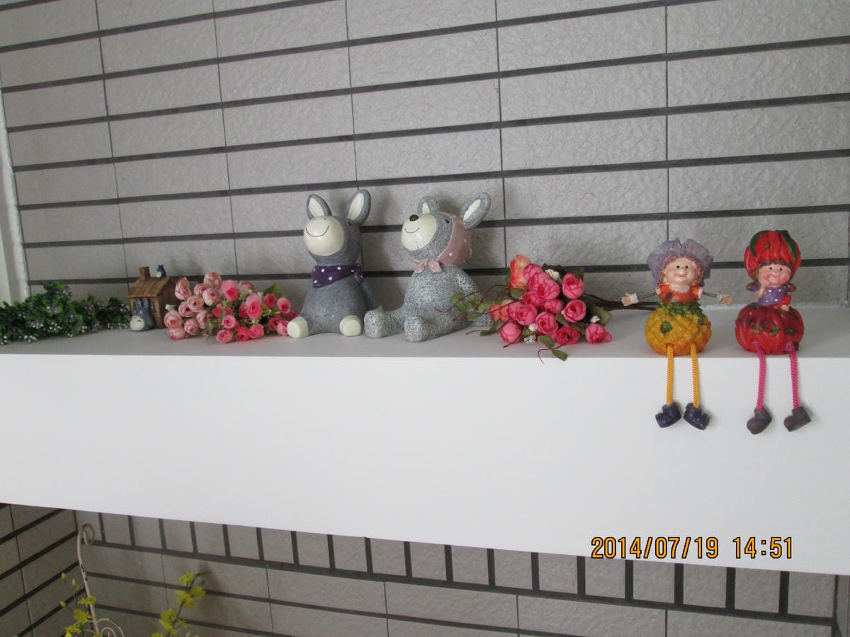 IMG_6683 IMG_6683