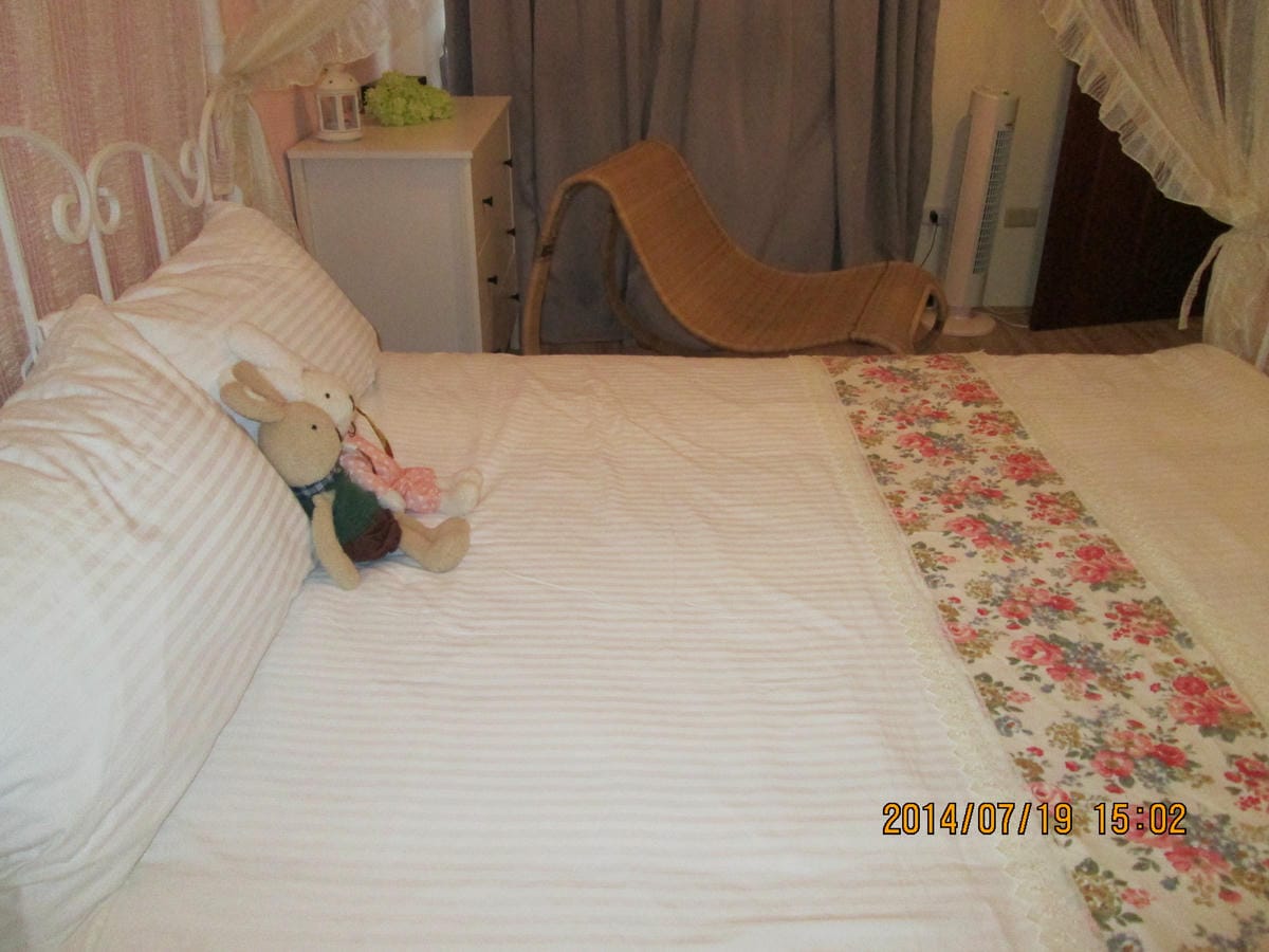 IMG_6742 IMG_6742