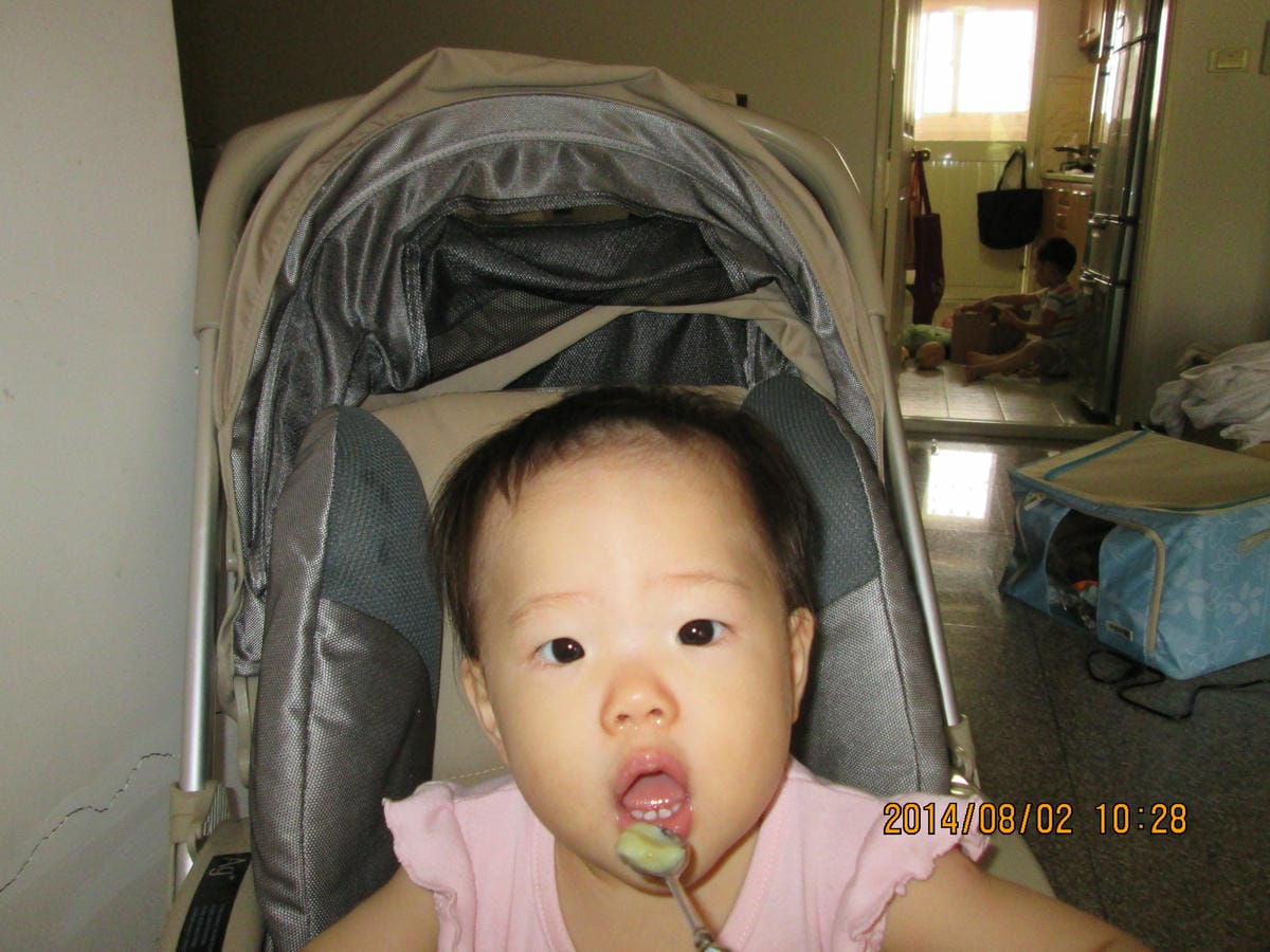 IMG_8232 IMG_8232