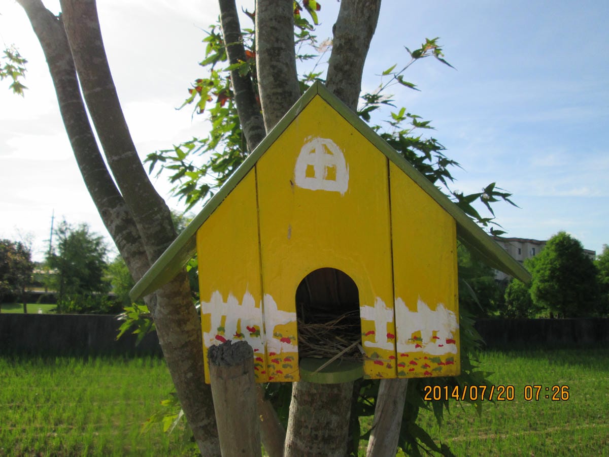 IMG_7223 IMG_7223