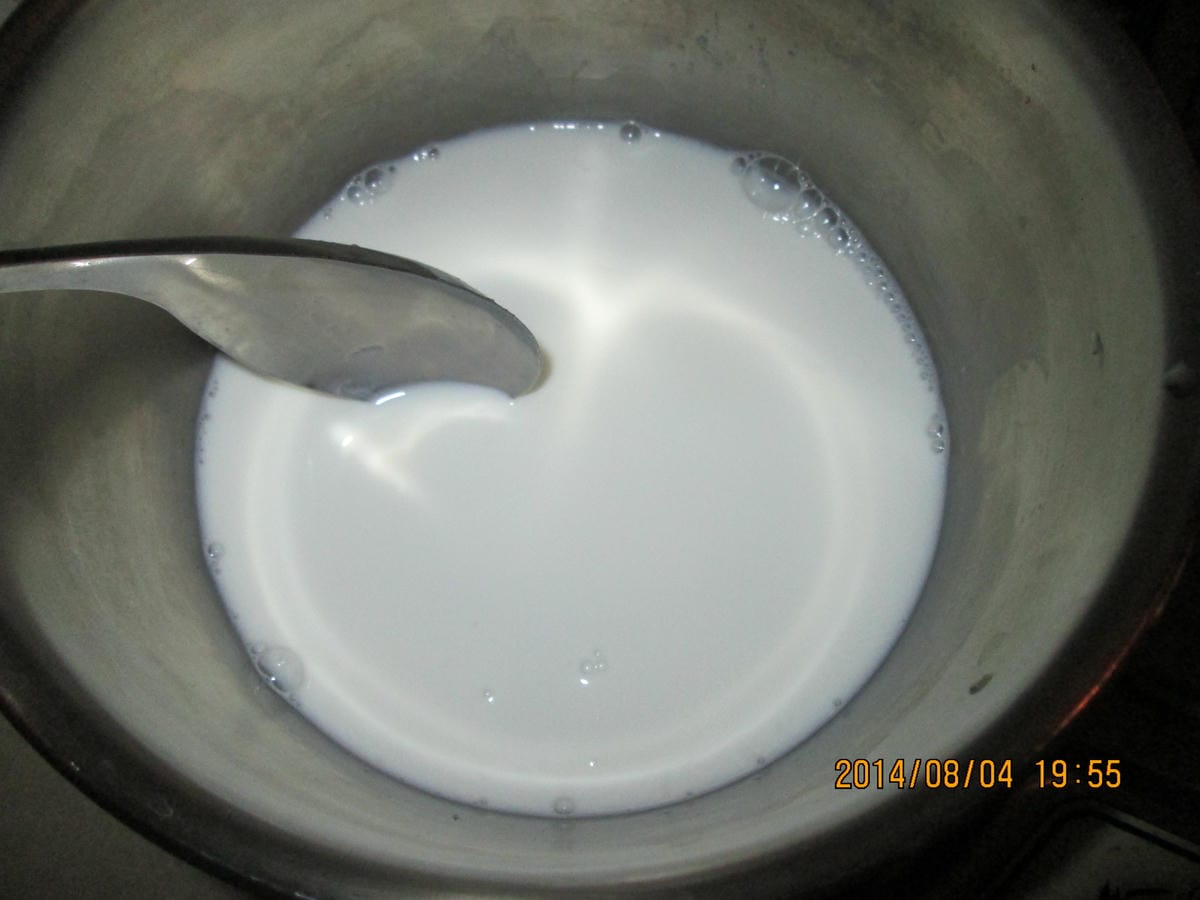 IMG_8742 IMG_8742
