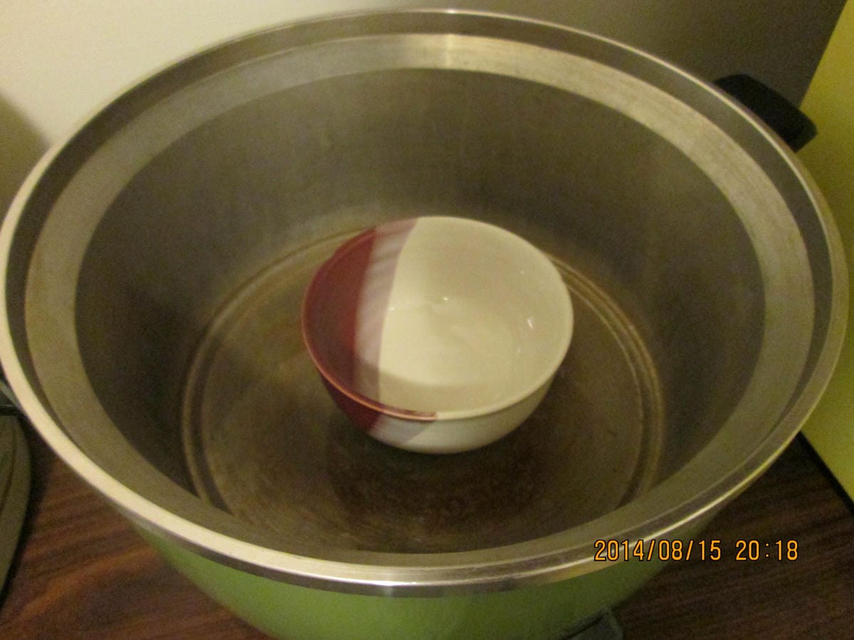 IMG_9558 IMG_9558