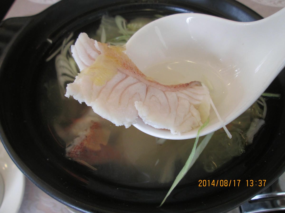 IMG_9754 IMG_9754