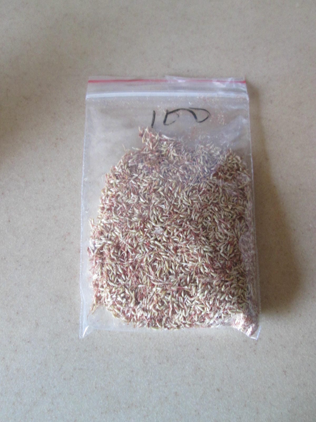 IMG_0765 IMG_0765