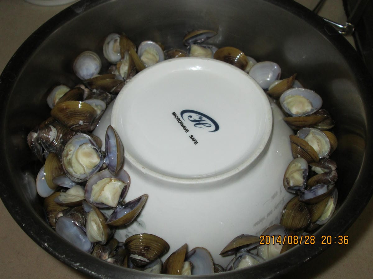IMG_1117 IMG_1117