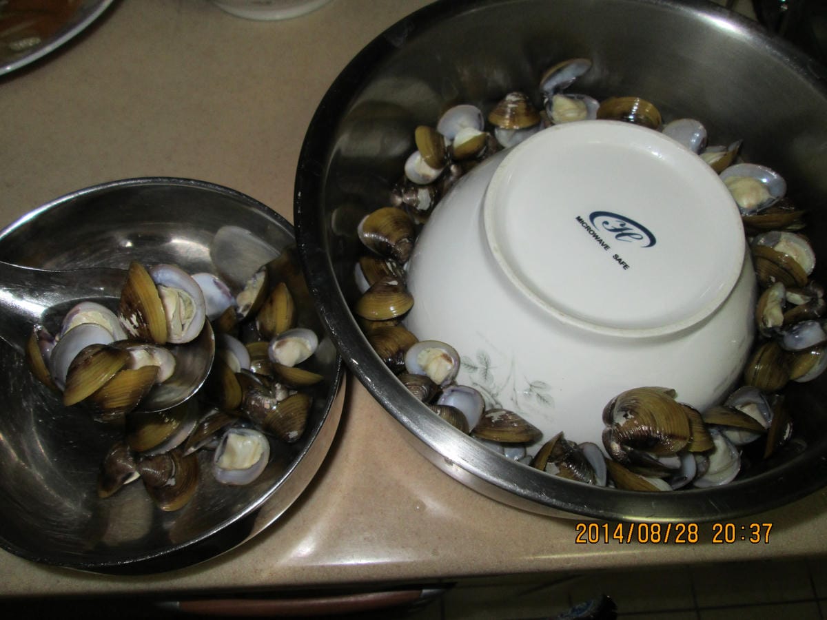 IMG_1119 IMG_1119