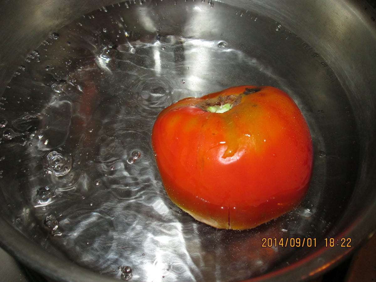 IMG_1313 IMG_1313
