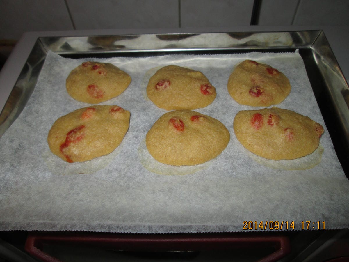 IMG_2568 IMG_2568