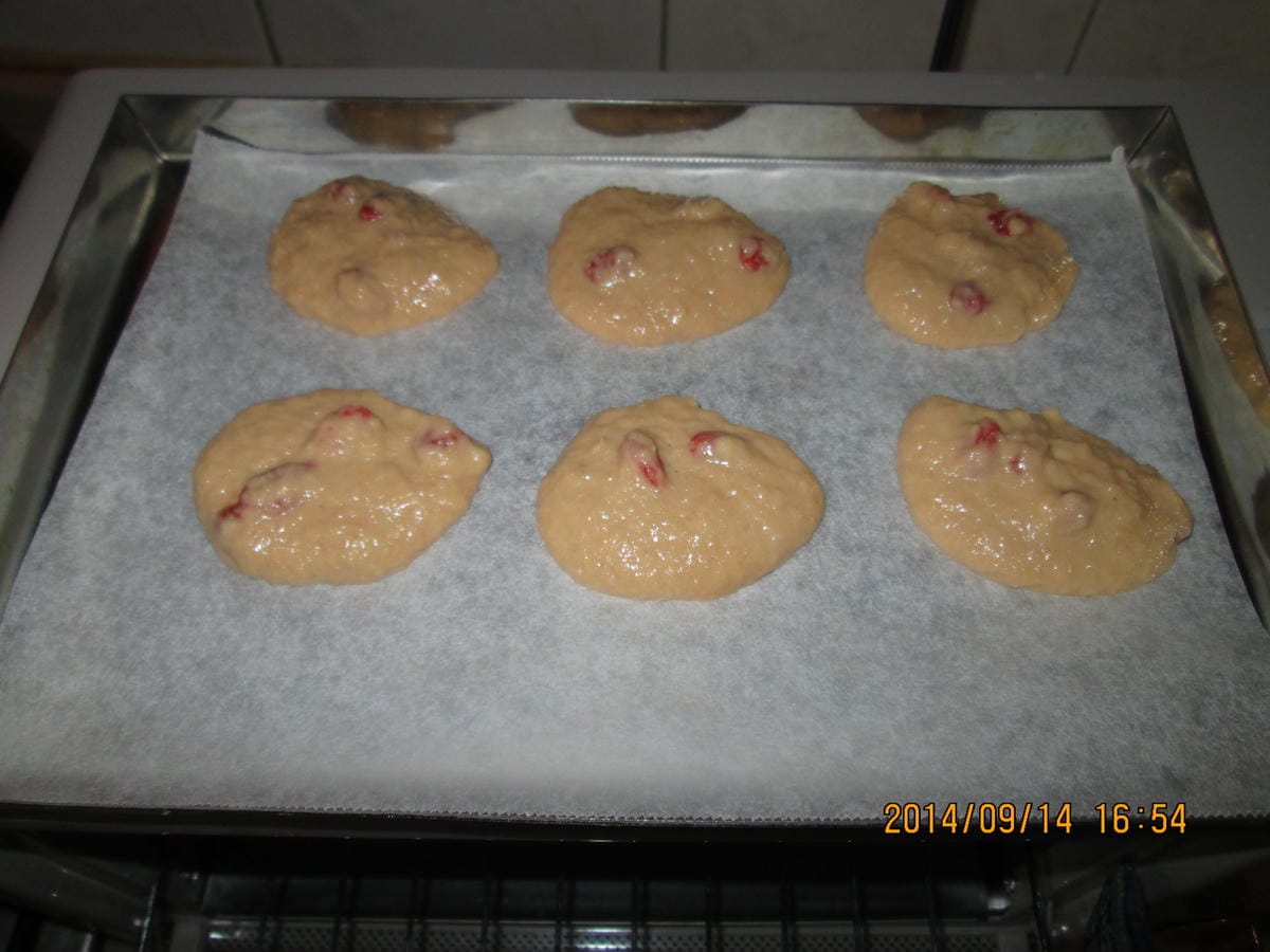 IMG_2566 IMG_2566
