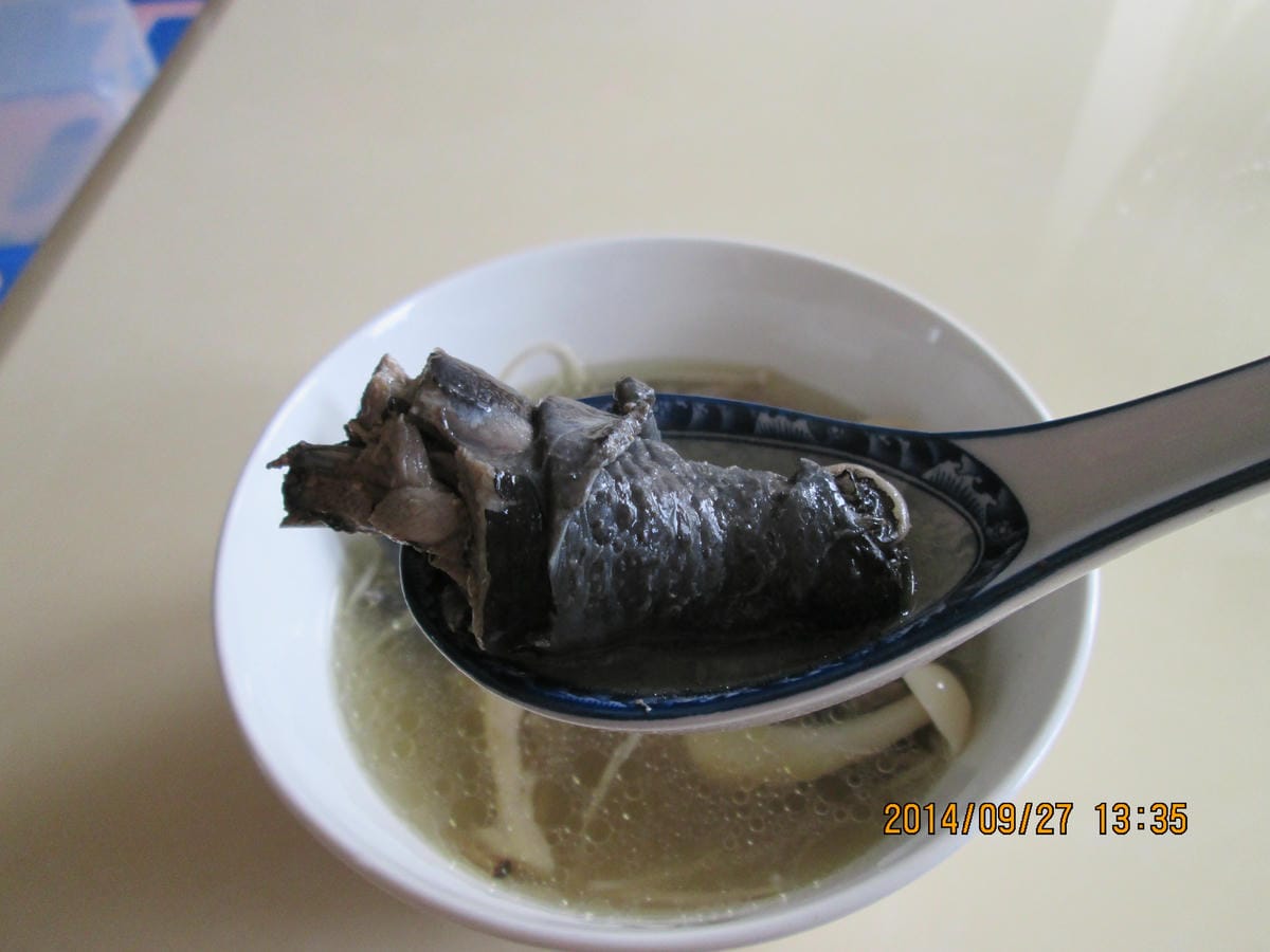 IMG_3398 IMG_3398