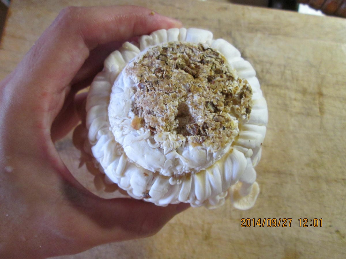 IMG_3345 IMG_3345