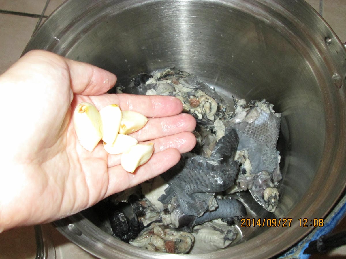 IMG_3349 IMG_3349