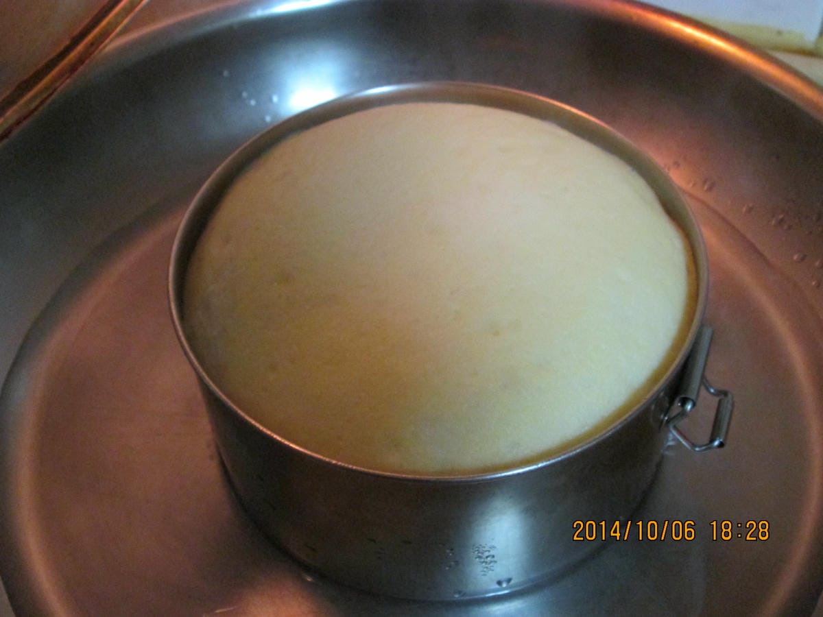IMG_3839 IMG_3839