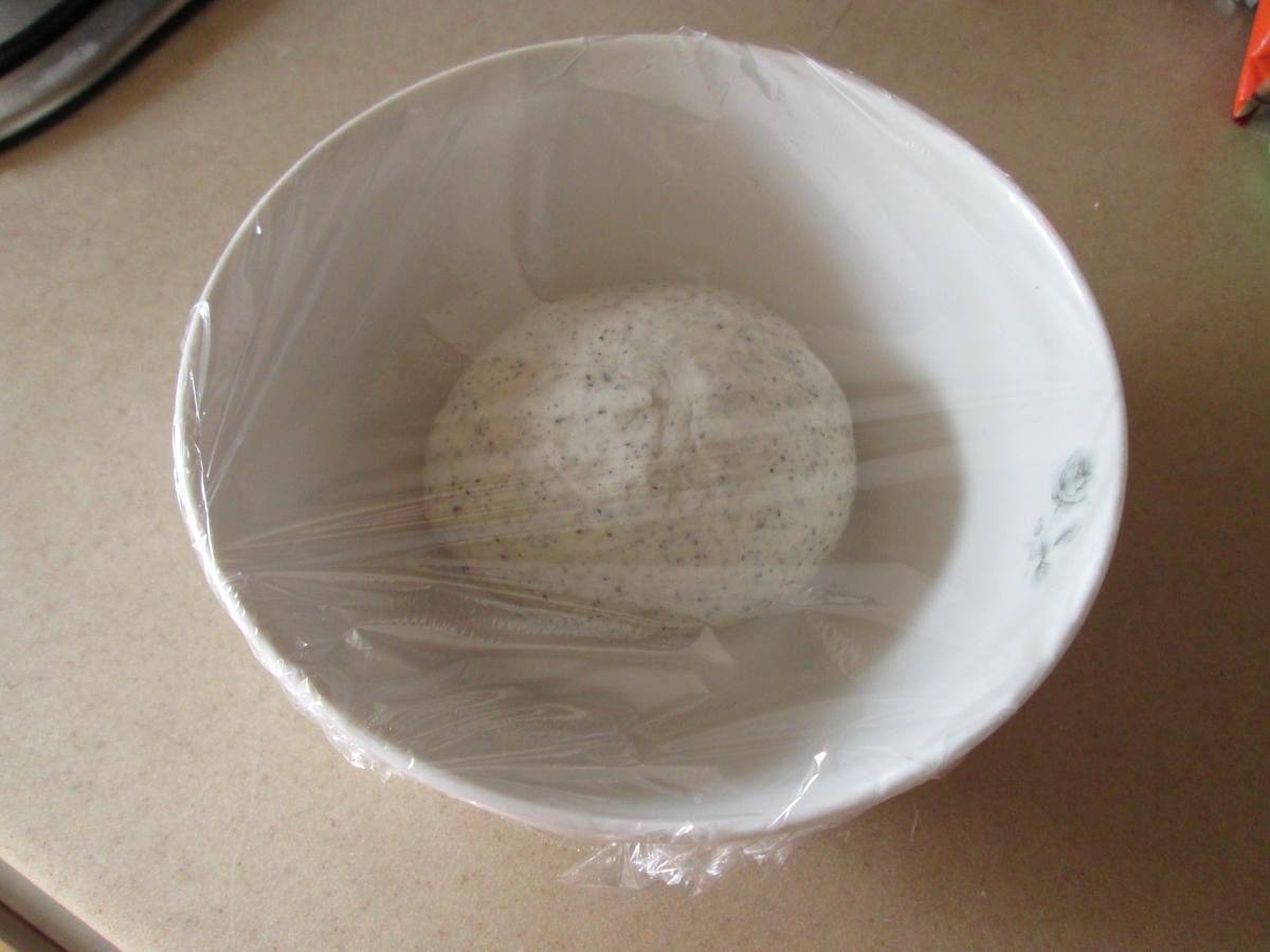 IMG_4727 IMG_4727