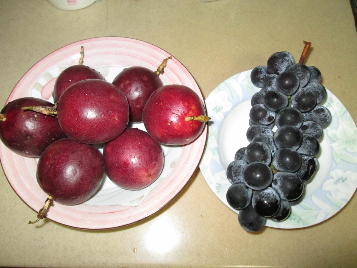 IMG_4762 IMG_4762