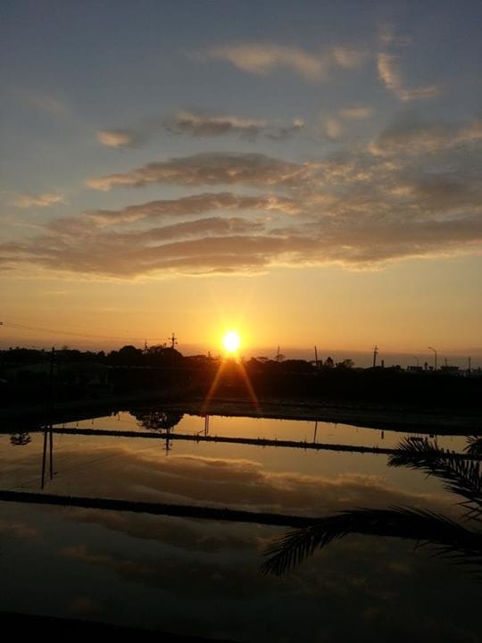 戶外景色 (2)