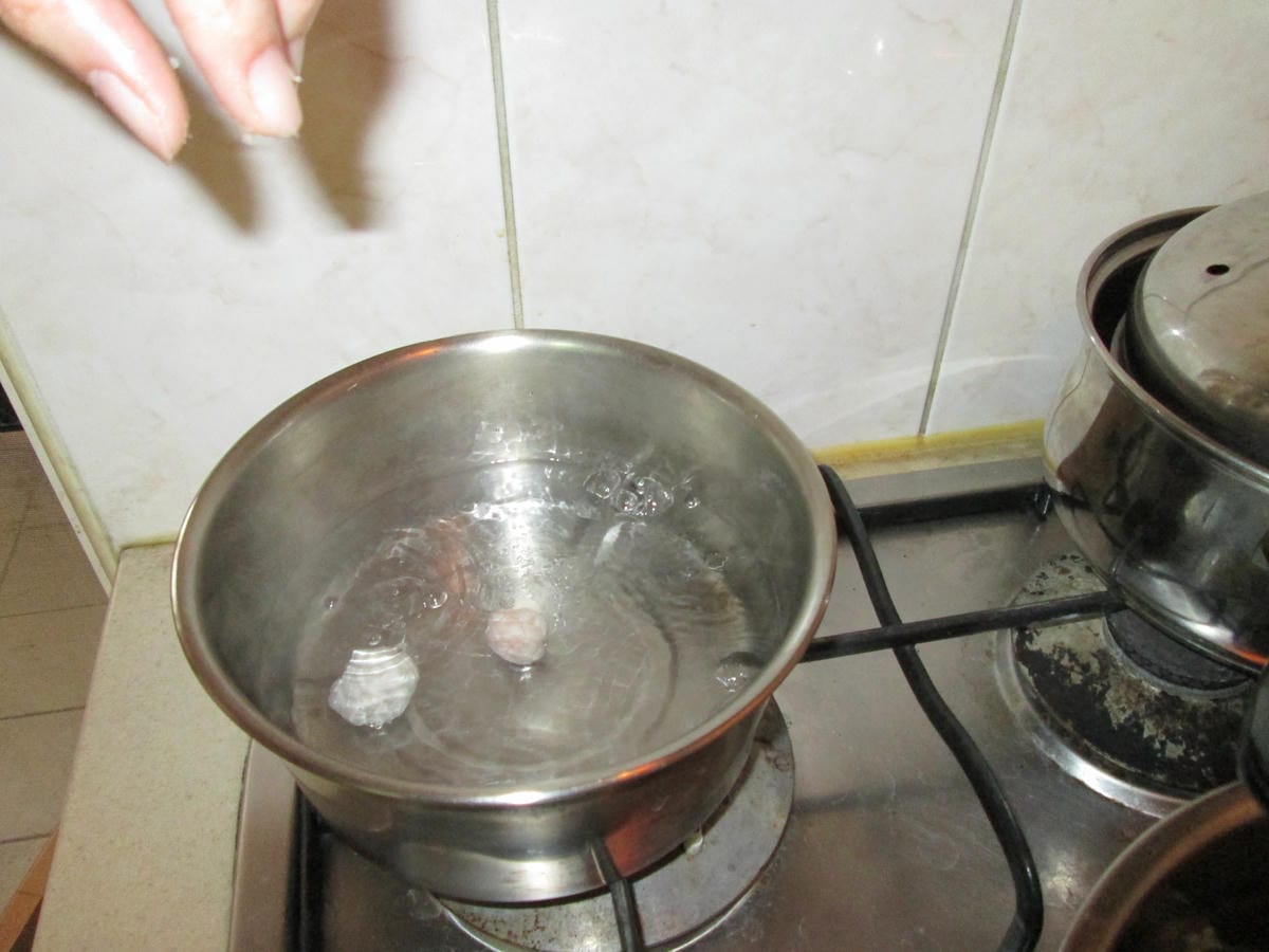 IMG_5449 IMG_5449