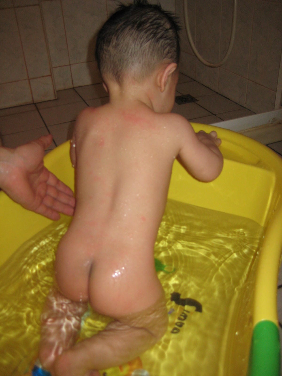 IMG_5432 IMG_5432