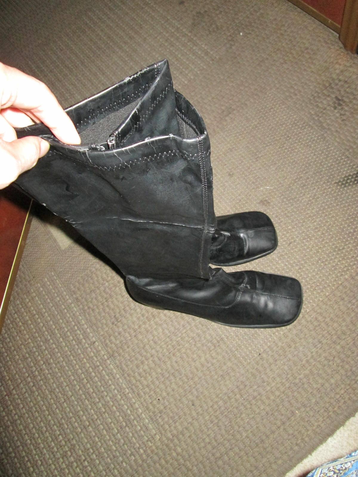 IMG_5732 IMG_5732