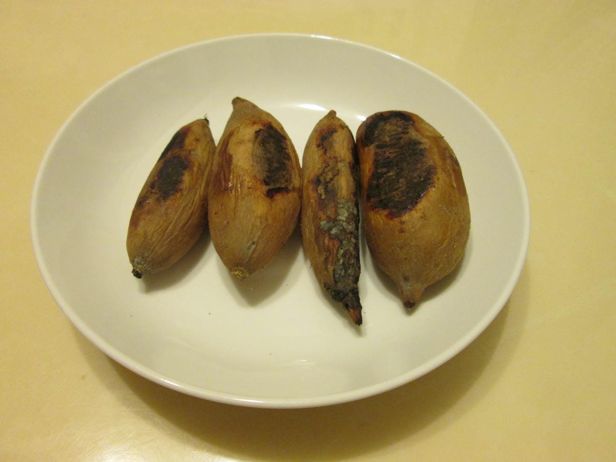 IMG_7357 IMG_7357