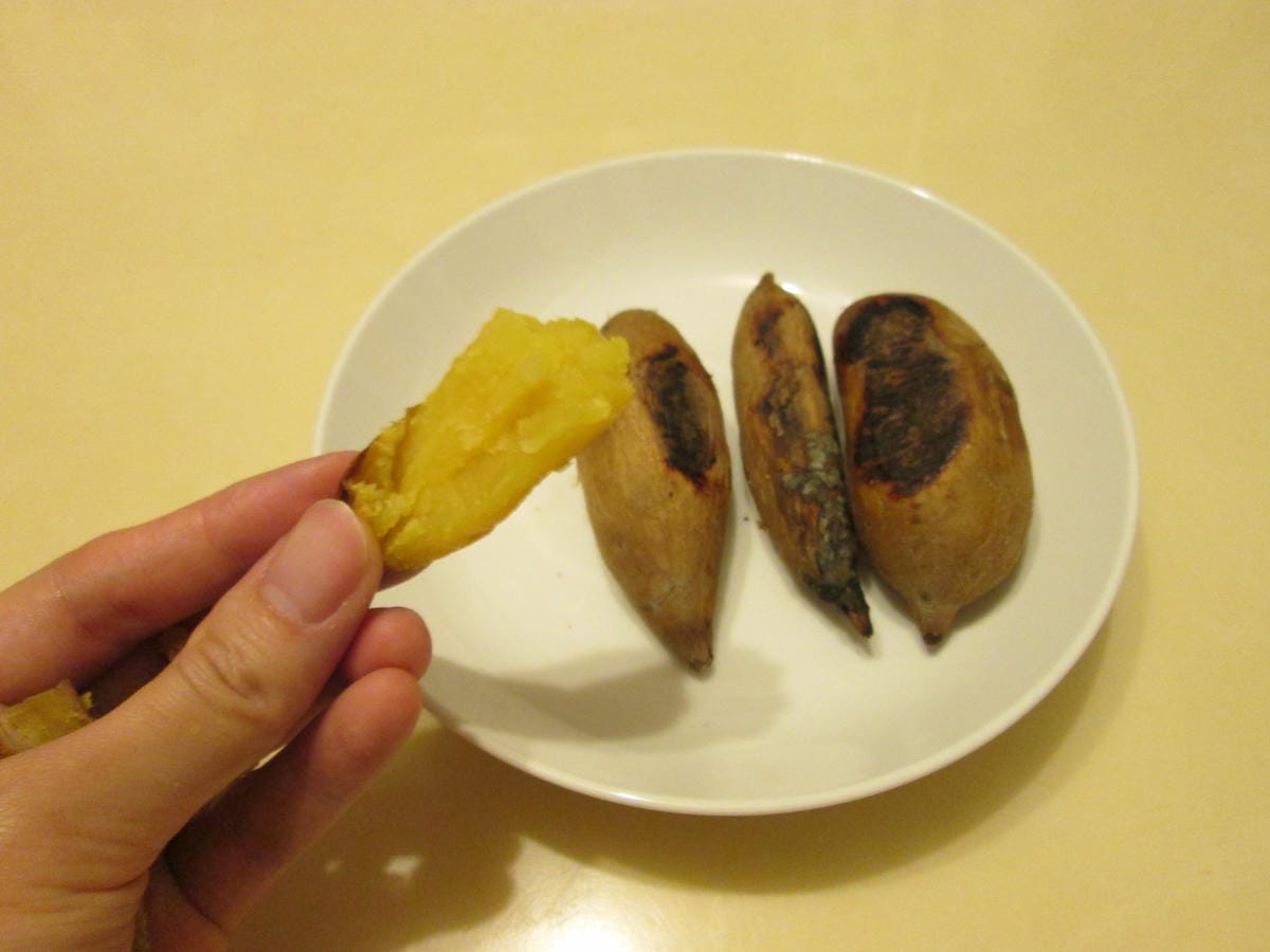 IMG_7376 IMG_7376