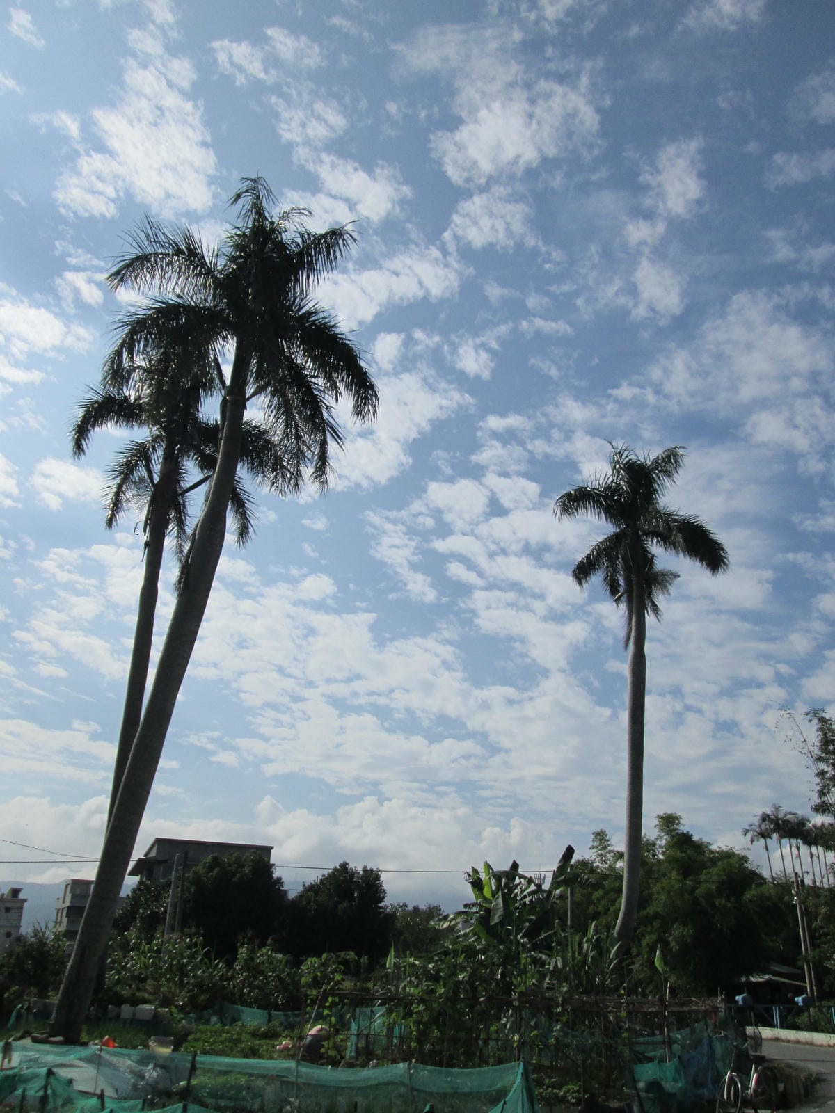 IMG_7325 IMG_7325