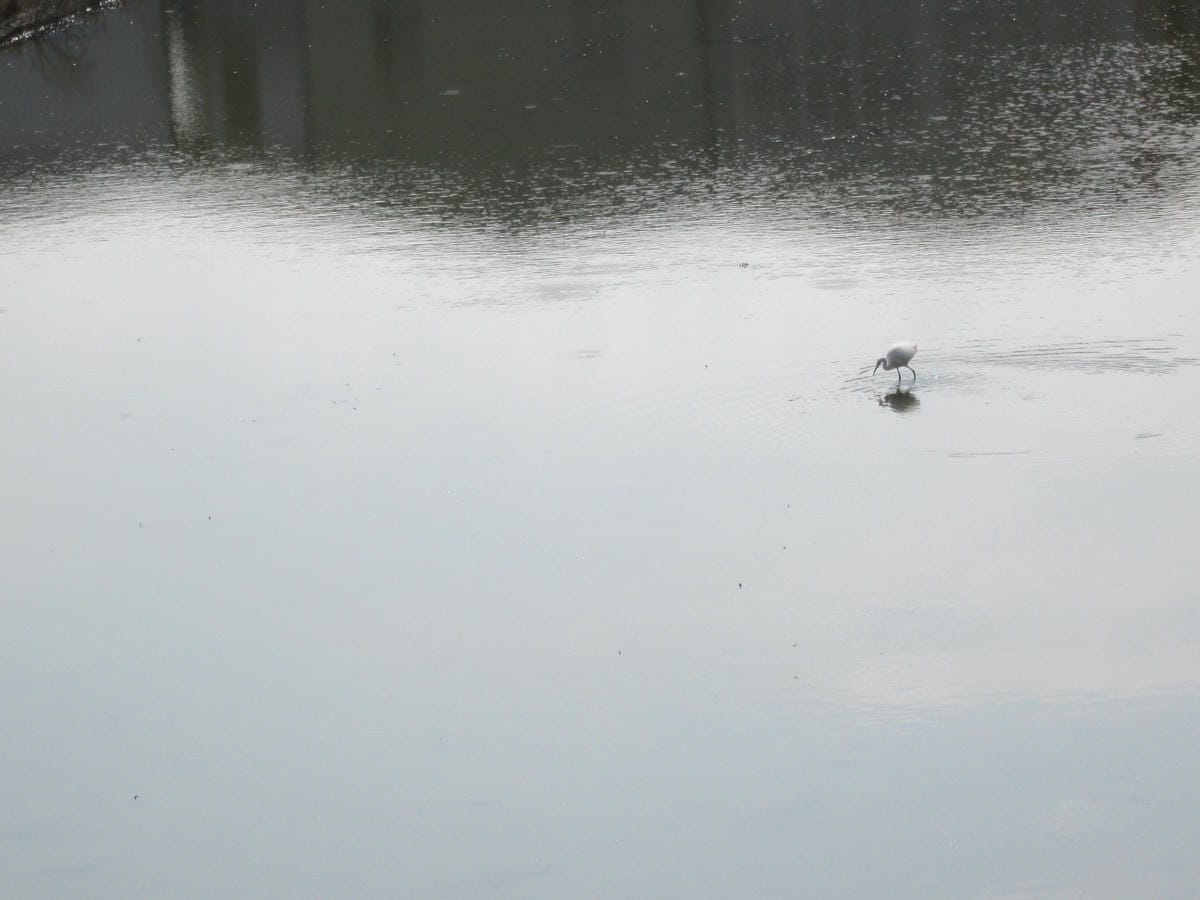 IMG_7346 IMG_7346