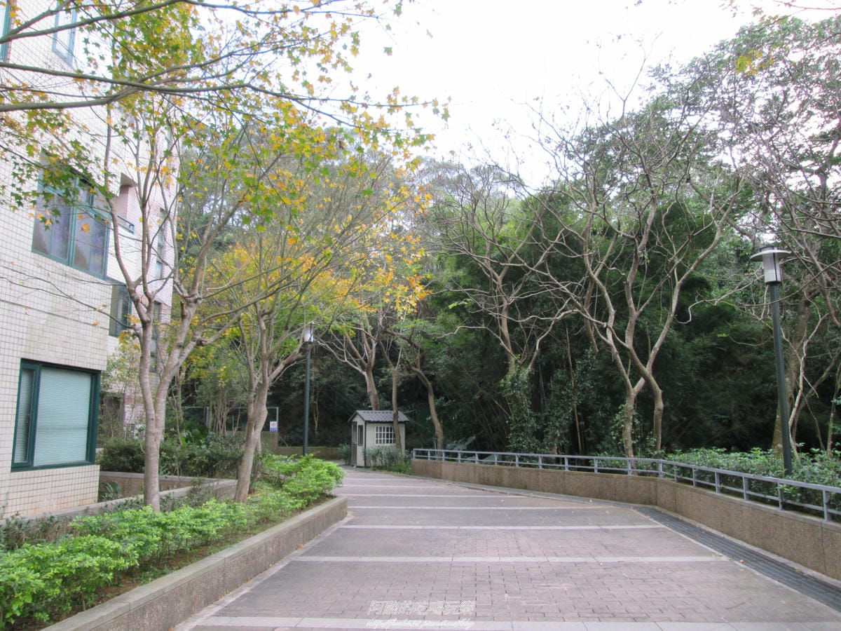 加浮水印IMG_8197 加浮水印IMG_8197