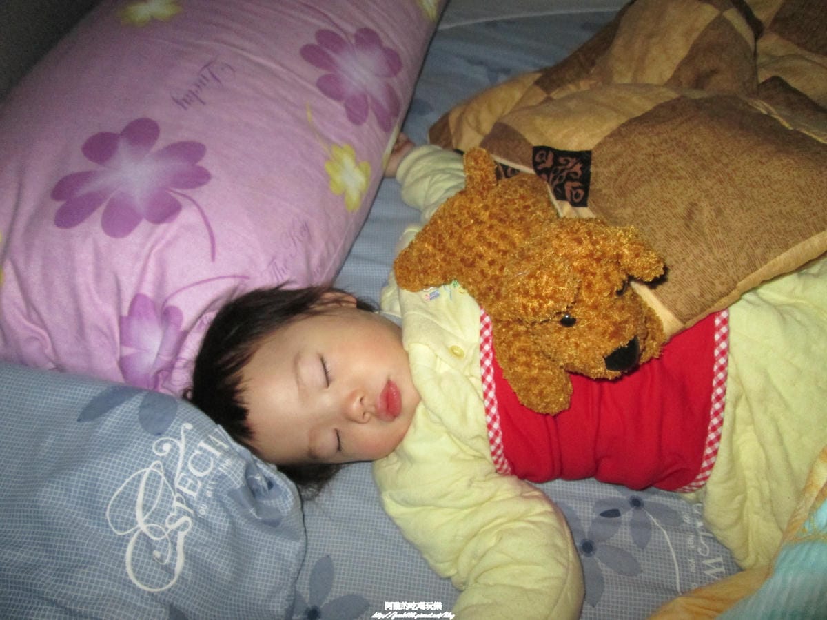IMG_9686 IMG_9686