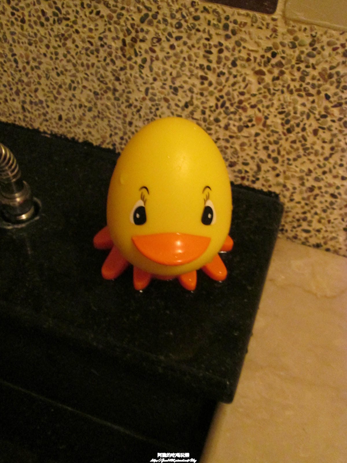 IMG_9204 IMG_9204