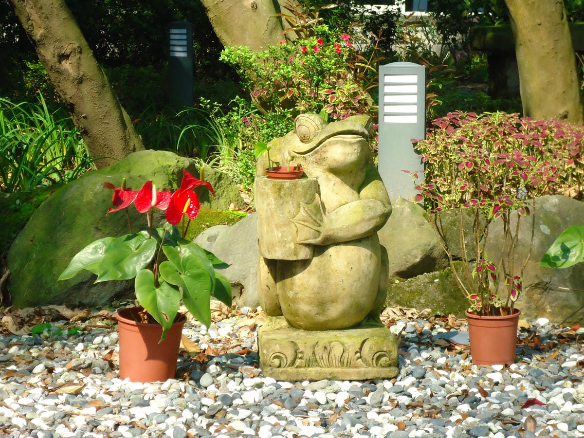 DSC05258 DSC05258