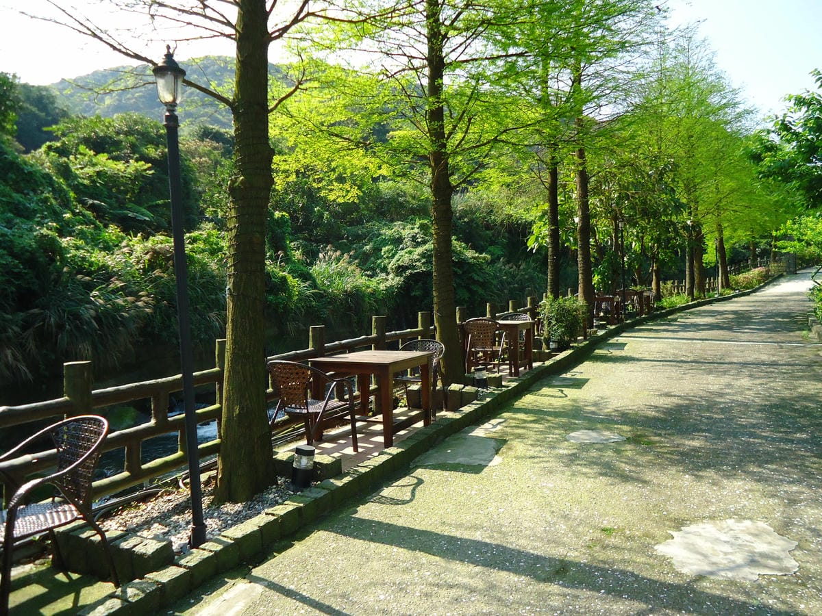 DSC05256 DSC05256