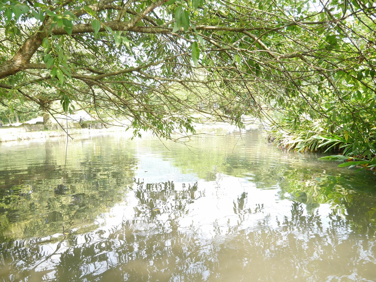 P1010766
