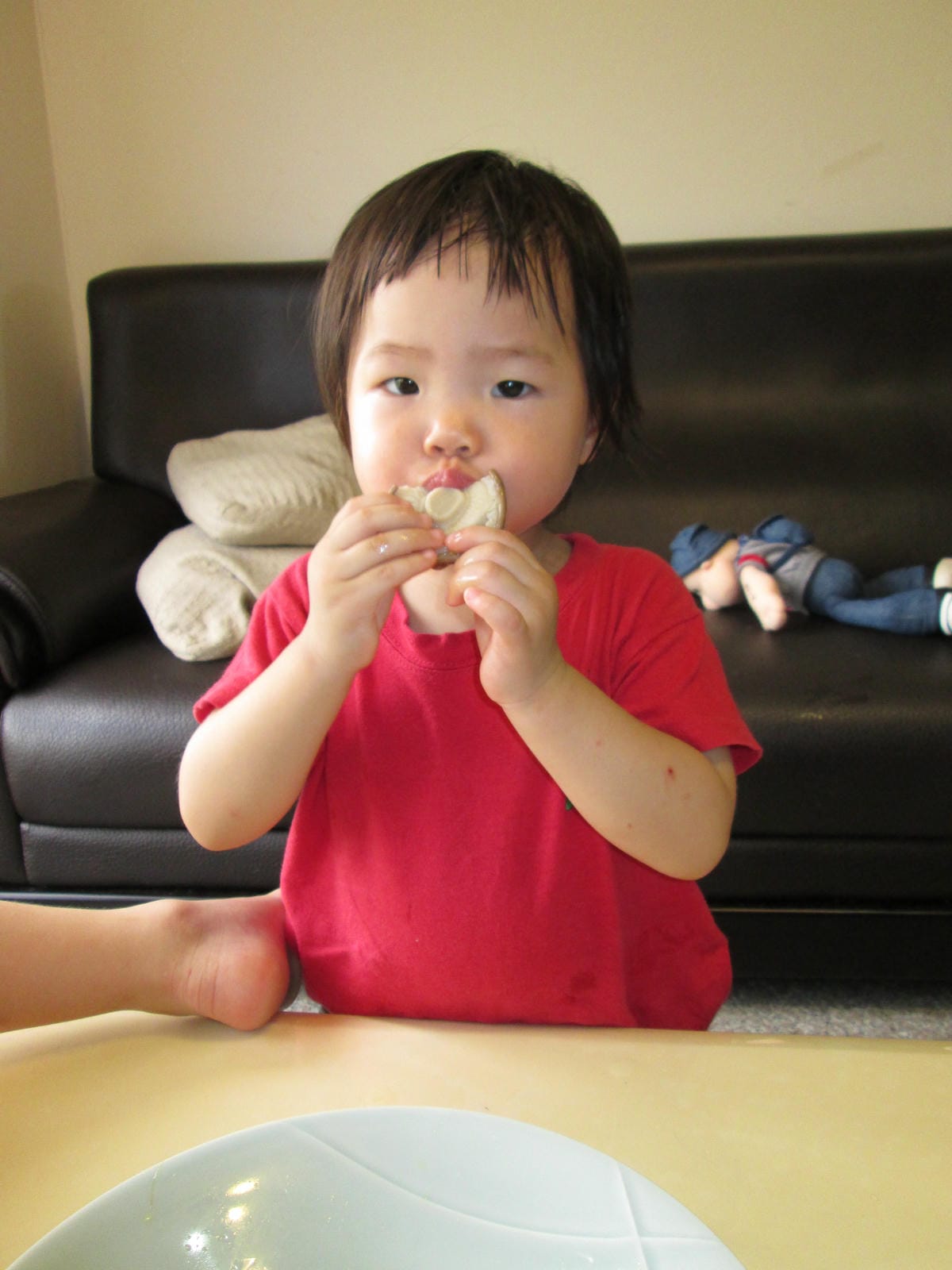 IMG_0151 IMG_0151