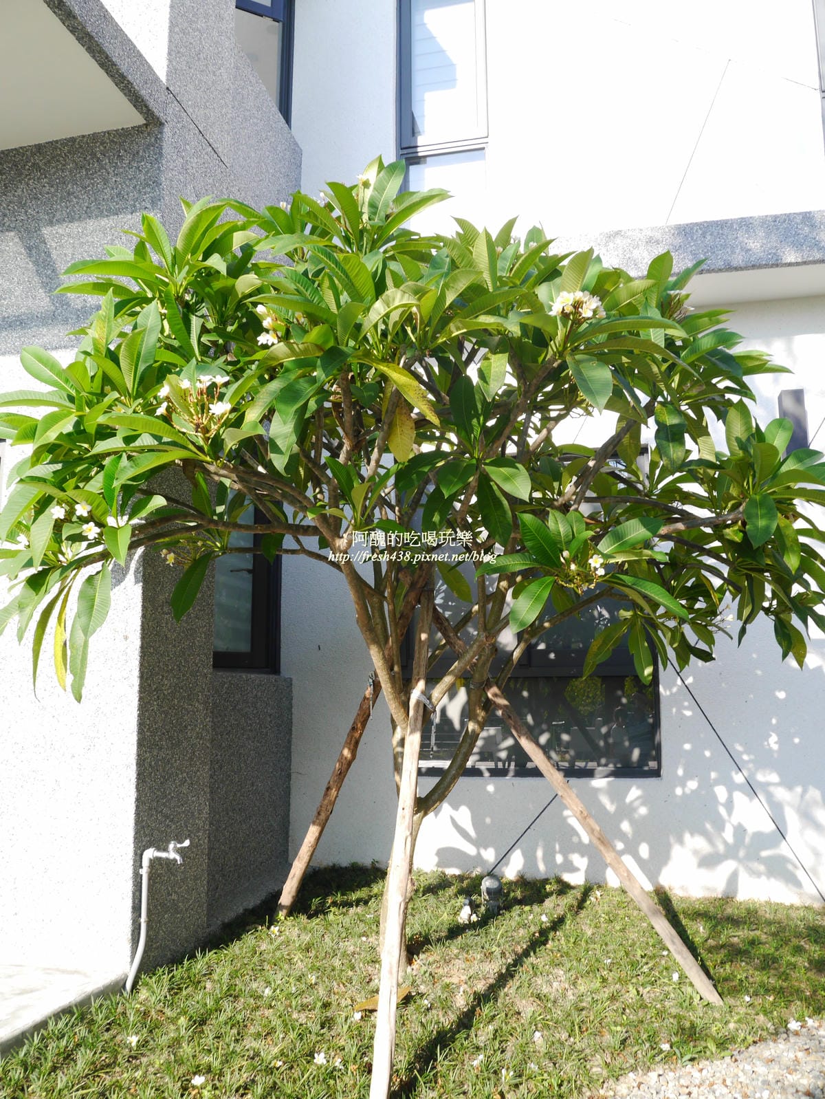 P1360369 P1360369