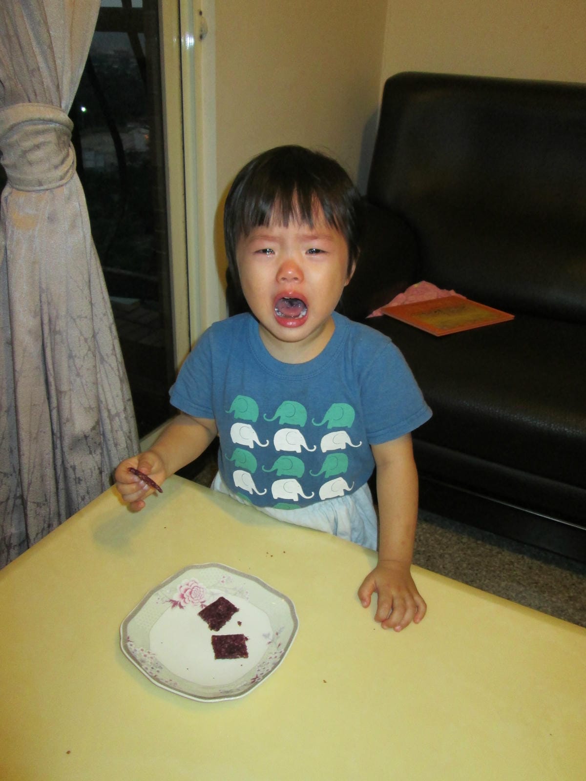 IMG_0358 IMG_0358