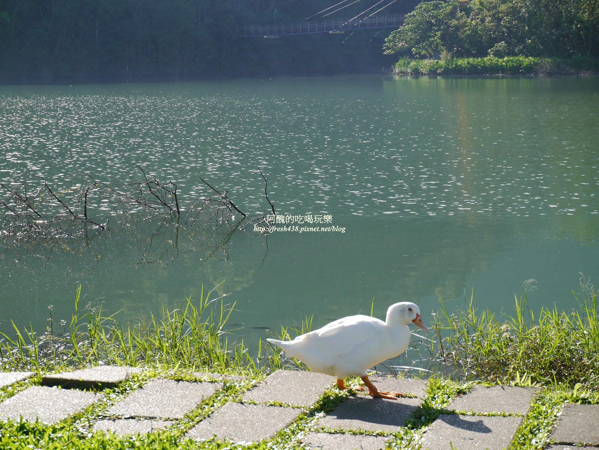 P1490252 P1490252