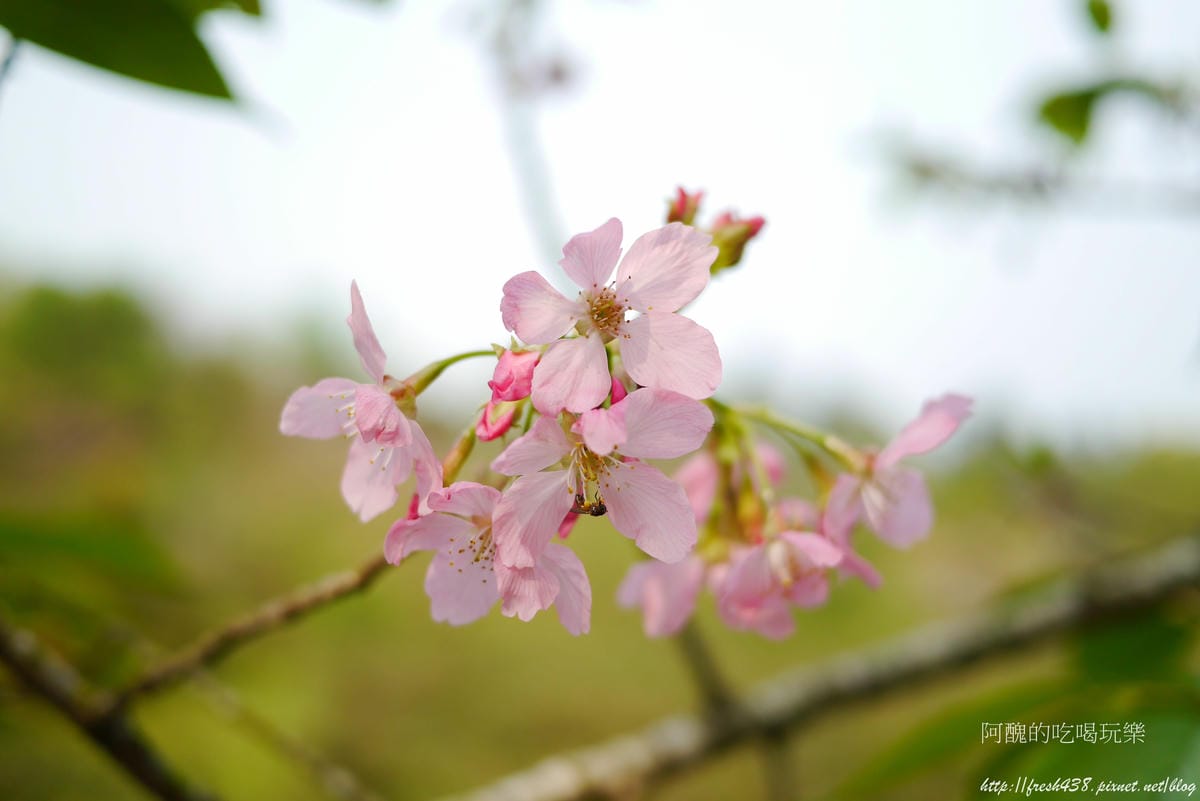 P1640320 P1640320